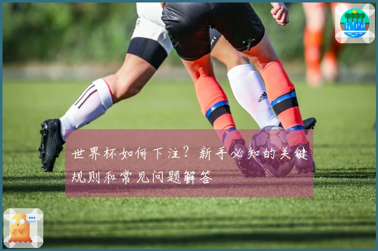 世界杯如何下注？新手必知的关键规则和常见问题解答