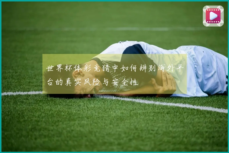 世界杯体彩竞猜中如何辨别海外平台的真实风险与安全性
