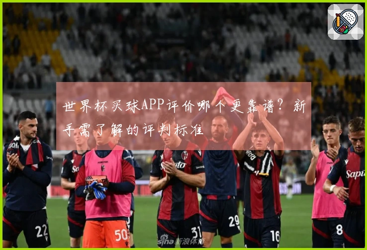 世界杯买球APP评价哪个更靠谱？新手需了解的评判标准