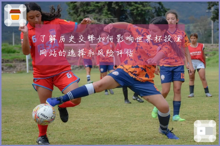 了解历史交锋如何影响世界杯投注网站的选择和风险评估