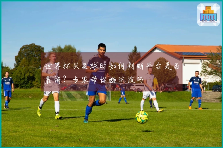 世界杯买足球时如何判断平台是否靠谱？专家带你避坑技巧
