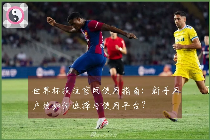 世界杯投注官网使用指南：新手用户该如何选择与使用平台？