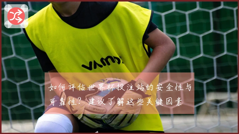 如何评估世界杯投注站的安全性与可靠性？建议了解这些关键因素