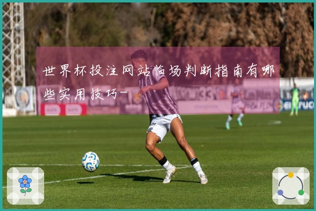 世界杯投注网站临场判断指南有哪些实用技巧-