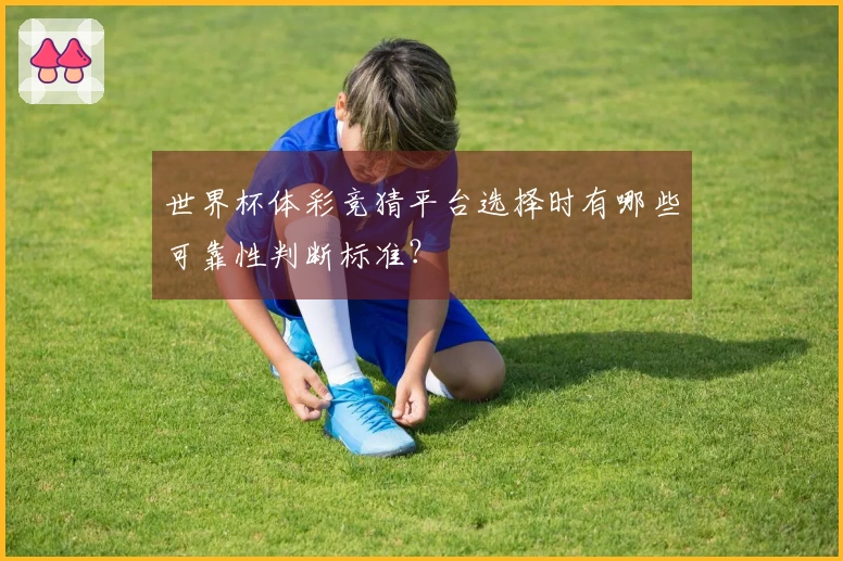 世界杯体彩竞猜平台选择时有哪些可靠性判断标准？