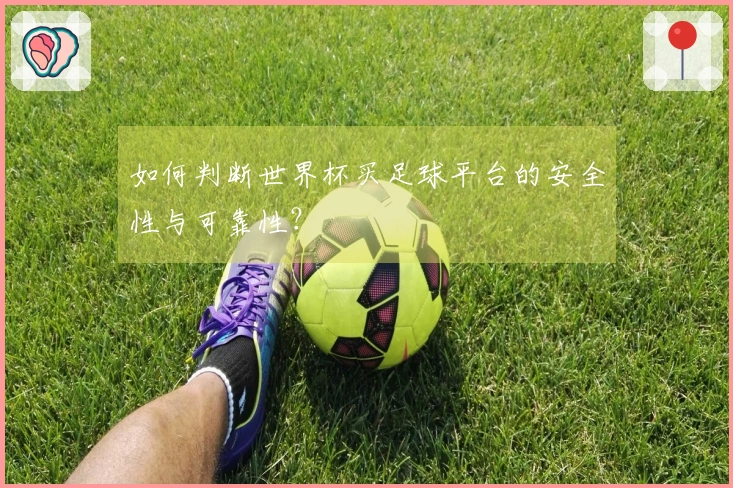如何判断世界杯买足球平台的安全性与可靠性？