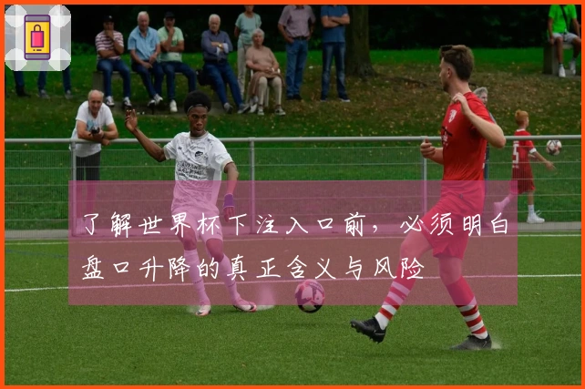 了解世界杯下注入口前，必须明白盘口升降的真正含义与风险
