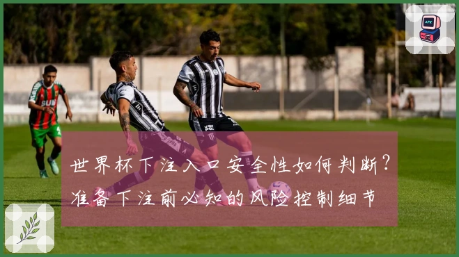 世界杯下注入口安全性如何判断？准备下注前必知的风险控制细节