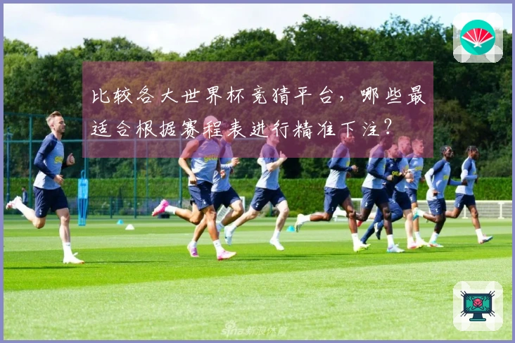 比较各大世界杯竞猜平台，哪些最适合根据赛程表进行精准下注？