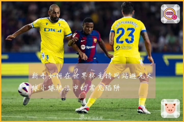 新手如何在世界杯竞猜网站避免大球小球玩法中的常见陷阱