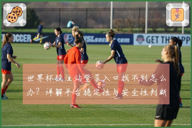 世界杯投注站登录入口找不到怎么办？详解平台稳定性与安全性判断方法