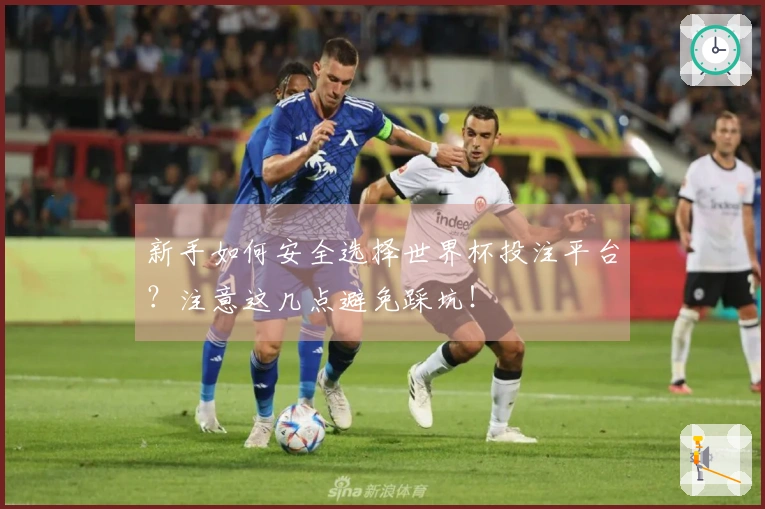 新手如何安全选择世界杯投注平台？注意这几点避免踩坑！