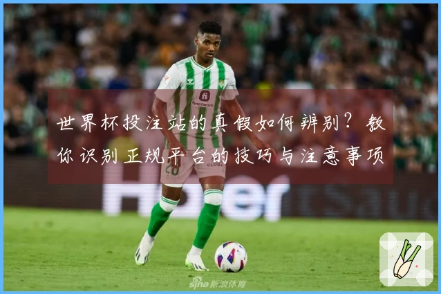 世界杯投注站的真假如何辨别？教你识别正规平台的技巧与注意事项
