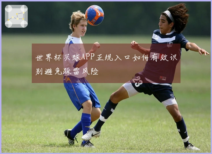 世界杯买球APP正规入口如何有效识别避免踩雷风险