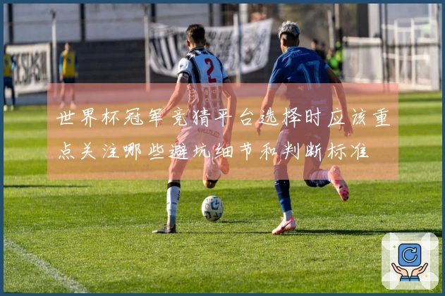 世界杯冠军竞猜平台选择时应该重点关注哪些避坑细节和判断标准