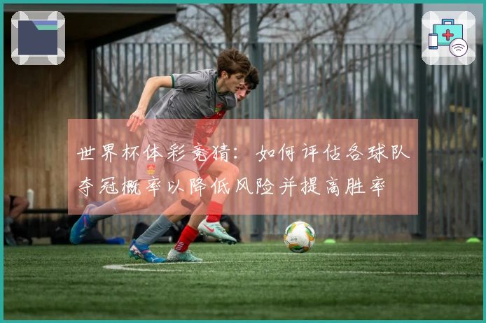 世界杯体彩竞猜：如何评估各球队夺冠概率以降低风险并提高胜率
