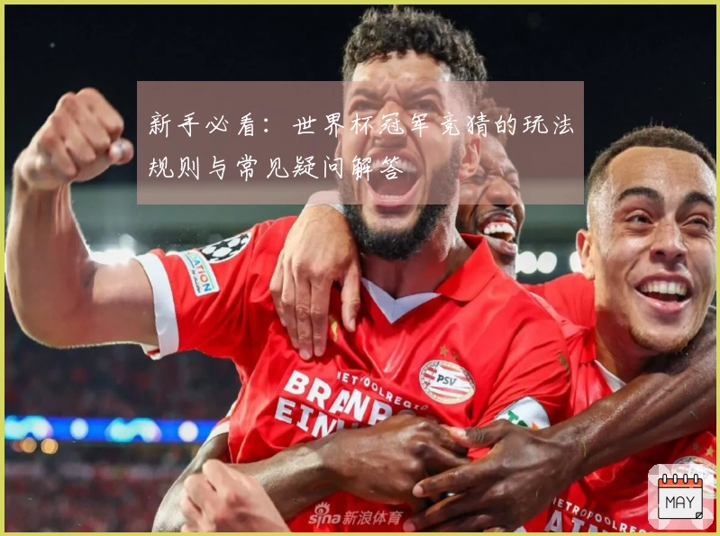 新手必看：世界杯冠军竞猜的玩法规则与常见疑问解答
