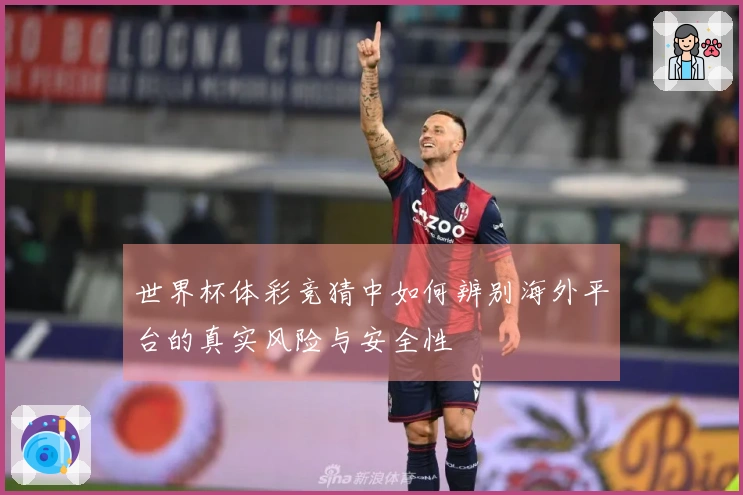 世界杯体彩竞猜中如何辨别海外平台的真实风险与安全性